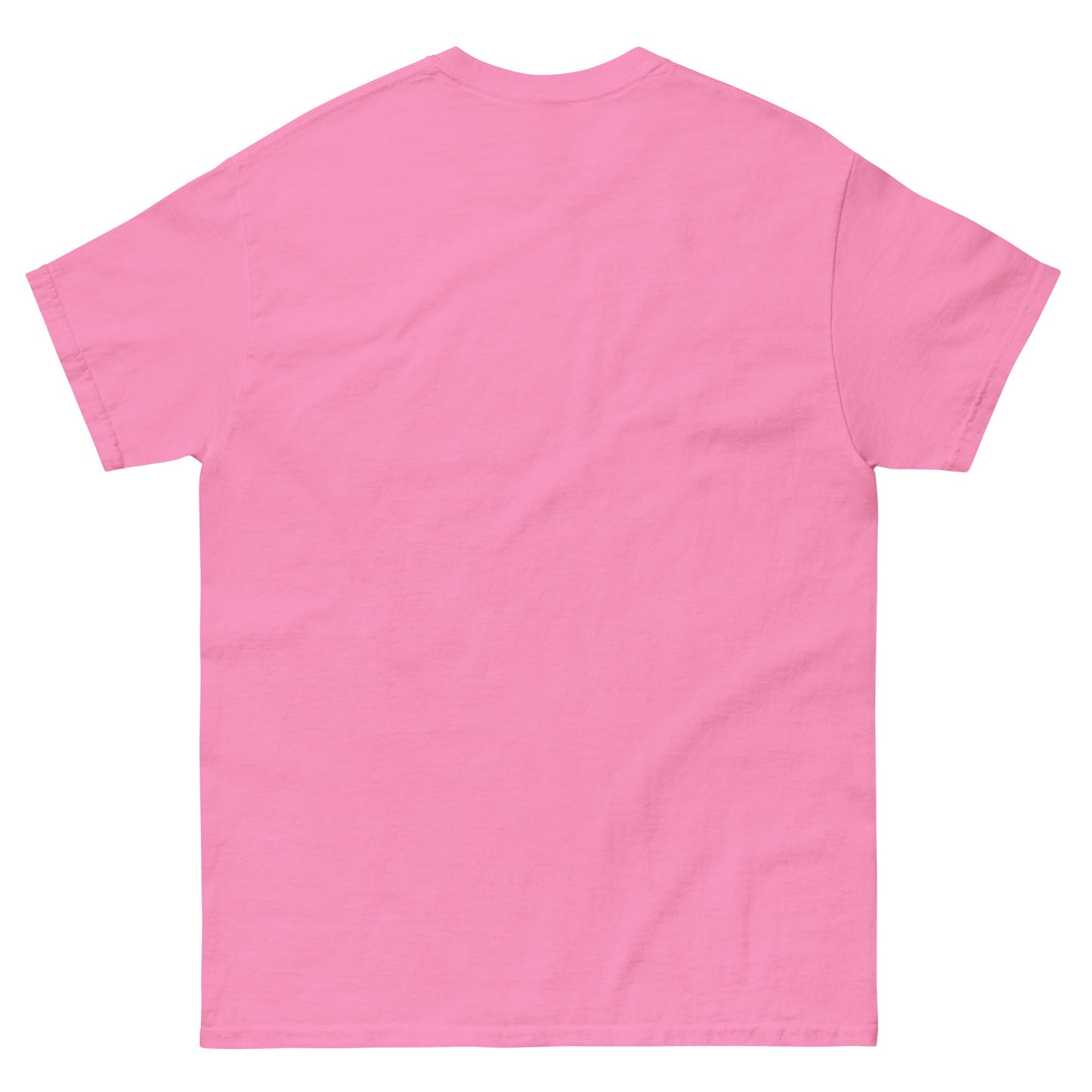BankNotes Capital Unisex Classic tee
